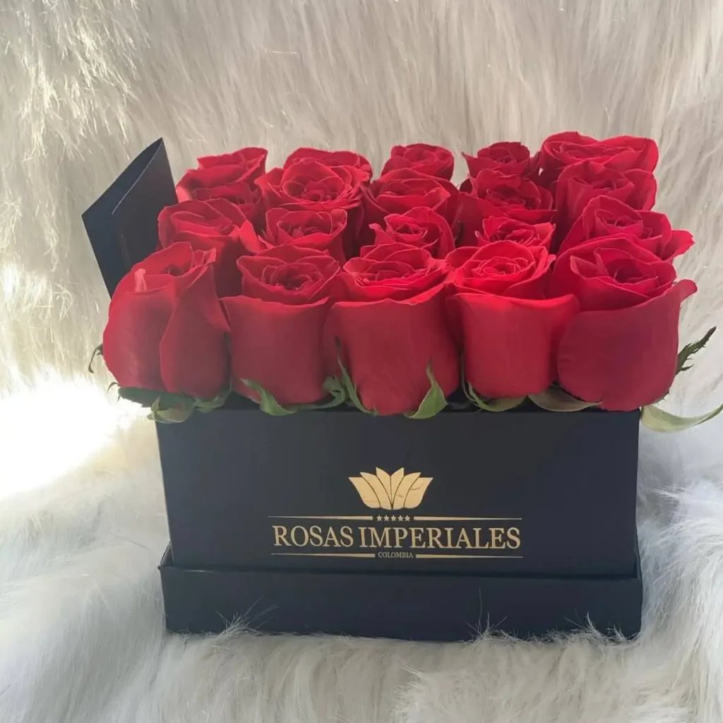 Caja 20 Rosas