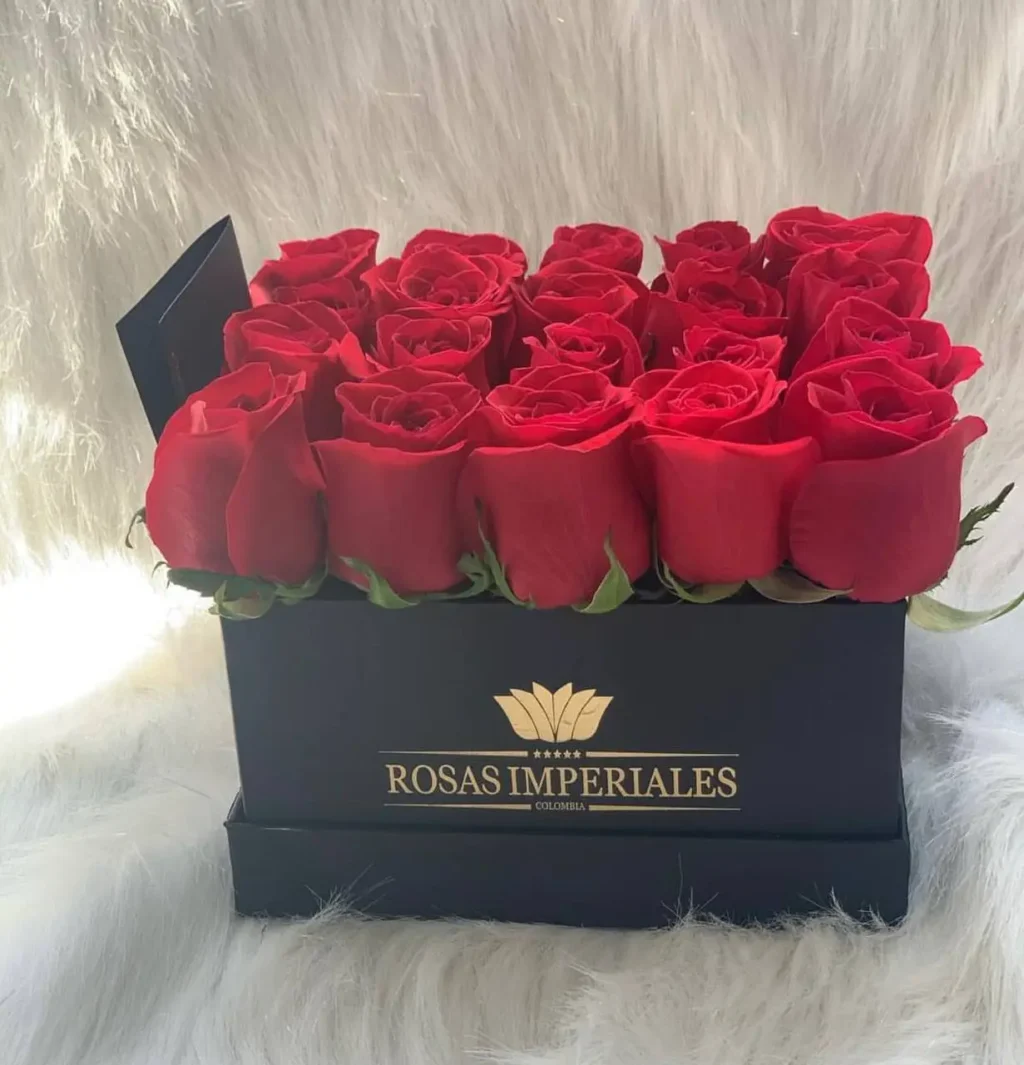 Caja 20 Rosas