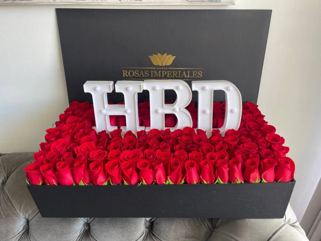 Caja XL HBD