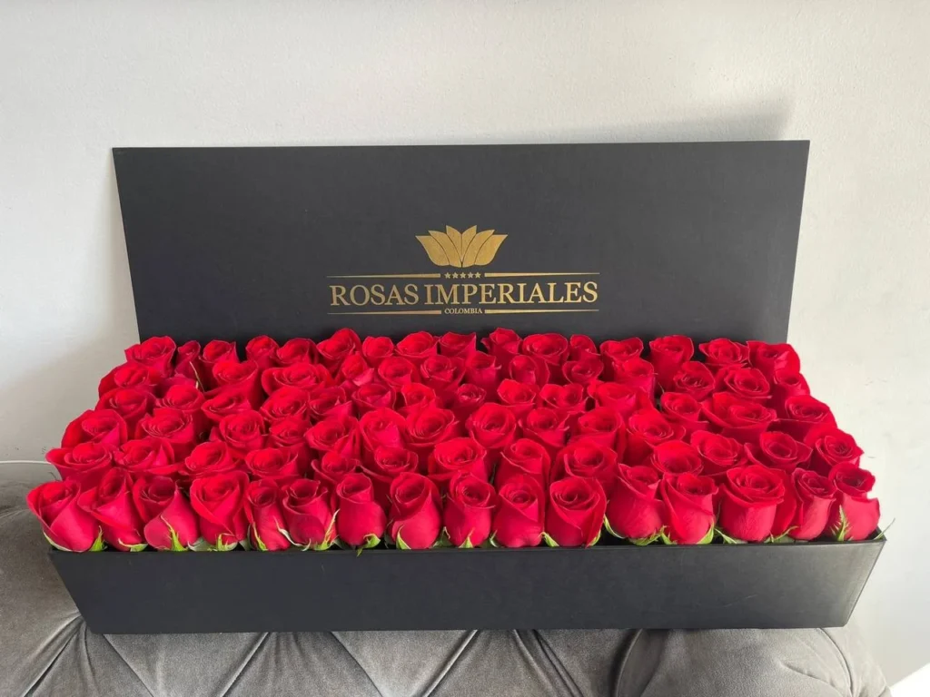 Rectangular mediana 100 rosas